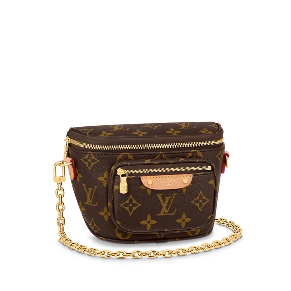Louis Vuitton’s mini bum bag - BNIB - Picture 2 of 4